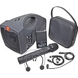 Fender(R) Passport P-10WE Wireless Executive System