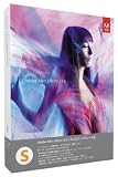Adobe After Effects CS6 ���{�� Windows �A�b�v�O���[�h�� [CS5.5]