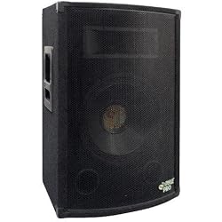 Pyle-Pro PADH879 - 300 Watt 8'' Two-Way Speaker Cabinet