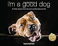 I'm a Good Dog: Pit Bulls, Americas Most Beautiful (and Misunderstood) Pet