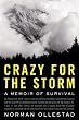 Crazy For The Storm