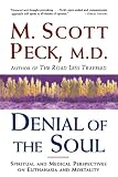 Denial of the Soul : Spiritual and Medical Perspectives on Euthanasia and Mortality