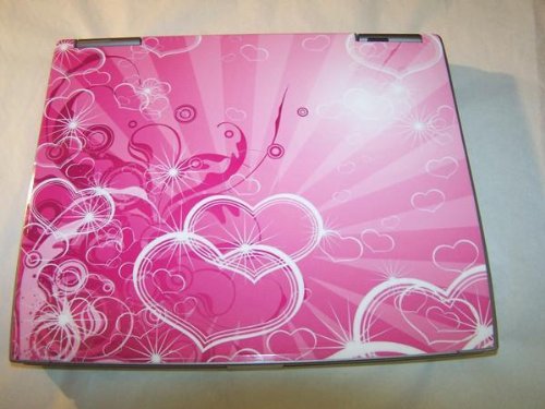 Unique Love Pink Dell D500 Laptop