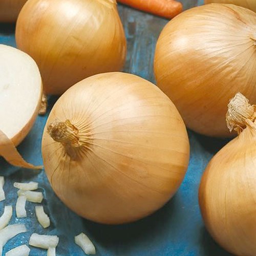 200 Seeds, Onion 