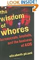 The Wisdom of Whores: Bureaucrats, Brothels and the Business of AIDS