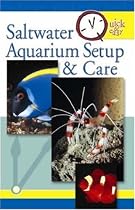 Saltwater Aquarium Setup and Care (Quick & Easy)