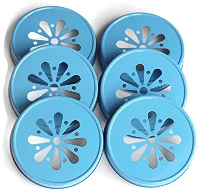 More Sprinkled Joy Mason Jar Lids (6 pack), Daisy Designed Lid- Light Blue