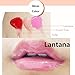 Duwop Mini Lip Venom Gloss Lip Tint Plumper 5ml (All 3 Colors Set)