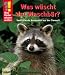  : Was Kinder wissen wollen. Was w&auml;scht der Waschb&auml;r?: Verbl&uuml;ffende Antworten aus der Tierwelt