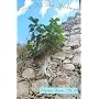 Love is the Answer by Ph.D. Blythe Ayne