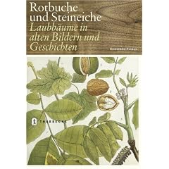 Rotbuche und Steineiche: Laubb�ume in alten Bildern und Geschichten