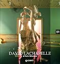 David Lachapelle