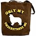 Canvas Tote Bag Brown  Only My Border Collie Understands Me  Dog