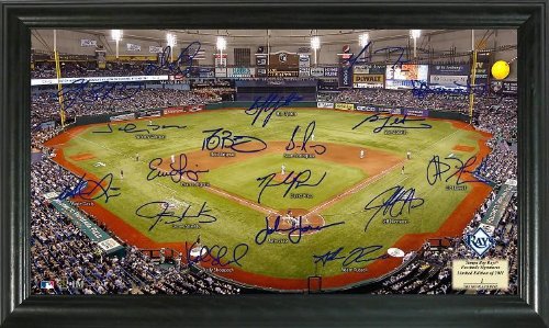 Highland Mint MLB Tampa Bay Devil Rays Signature Field Framed Art