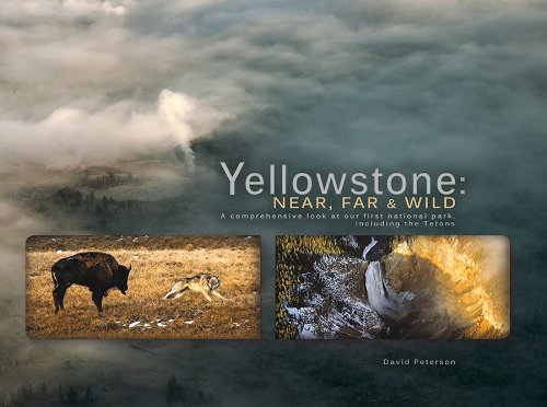 Yellowstone: Near, Far and Wild