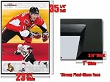 Framed Ottawa Senators Poster Daniel Alfredsson Fr4674