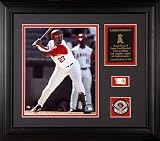 Vladimir Guerrero Los Angeles Angels of Anaheim Framed 8x10 Photograph with Game-Used Baseball Piece & Medallion