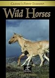 Wild Horses: Clouds First Summer/Relaxing Nature Video