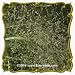 Switch Grass (Panicum virgatum) Jumbo Seed Packet - 2000 Seeds