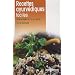 Recettes ayurv�diques faciles : Cuisine v�g�tarienne aux �pices