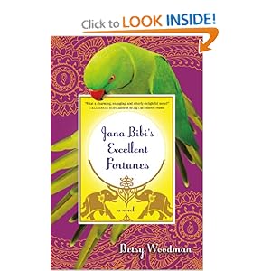 Jana Bibi's Excellent Fortunes: A Novel