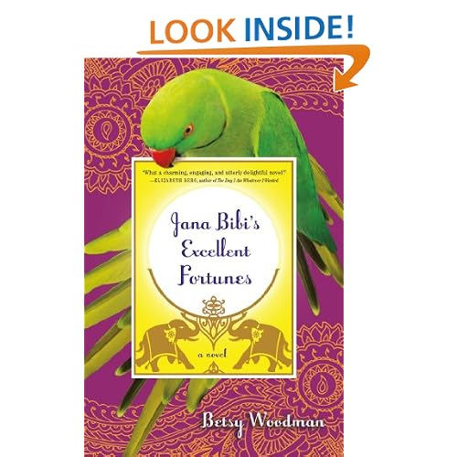 Jana Bibi's Excellent Fortunes: A Novel