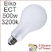 Eiko ECT 120v 500w Photo Flood Lamp