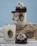 Pack of 4 Frosted Scented Glass Jar Candles with Wood and Seashell Lids
