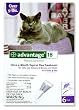 Advantage Topical Solution Flea Treatment for Cats Over 9 Pounds, 6 Applications