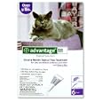 Advantage Topical Solution Flea Treatment for Cats Over 9 Pounds, 6 Applications