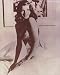 The Shawshank Redemption Poster Movie 11x14 Rita Hayworth
