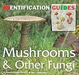 British & European mushrooms & other fungi