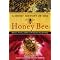 Ultimate Guide to Beekeeping