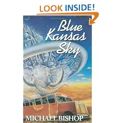 Blue Kansas Sky
