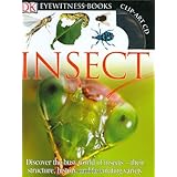 Insect