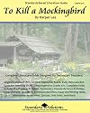 To Kill a Mockingbird Literature Guide (Secondary Solutions LLC Teacher Guide)
