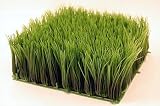 Artificial Wheat Grass- Fake Soft PVC Plastic Decorative Wheatgrass: Ornamantal Flower Arranging & Home Decor - 10x10x5