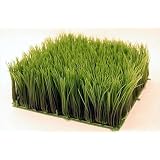 Artificial Wheat Grass- Fake Soft PVC Plastic Decorative Wheatgrass: Ornamantal Flower... by 