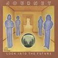 Look Into The Future (Album Version)