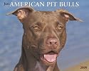 American Pit Bulls 2009 Calendar (Just)