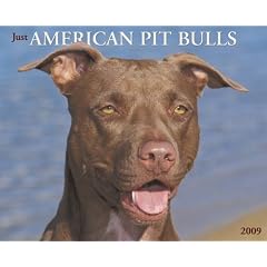 American Pit Bulls 2009 Calendar (Just)