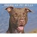 American Pit Bulls 2009 Calendar (Just)