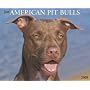 American Pit Bulls 2009 Calendar (Just)