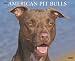 American Pit Bulls 2009 Calendar (Just)