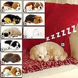 Perfect Petzzz®