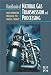 Handbook of Natural Gas  Transmission and  Processing