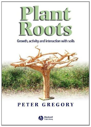 Plant Roots: Growth, Activity and Interactions with the Soil On Sale