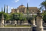 Wallmonkeys Peel and Stick Wall Decals - Mezquita Garden - 24