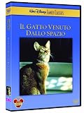 Il Gatto