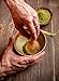 Matcha Whisk and Holder Set, 1 set